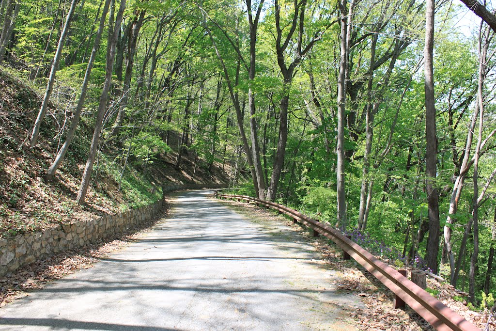 Mill Mountain Greenway