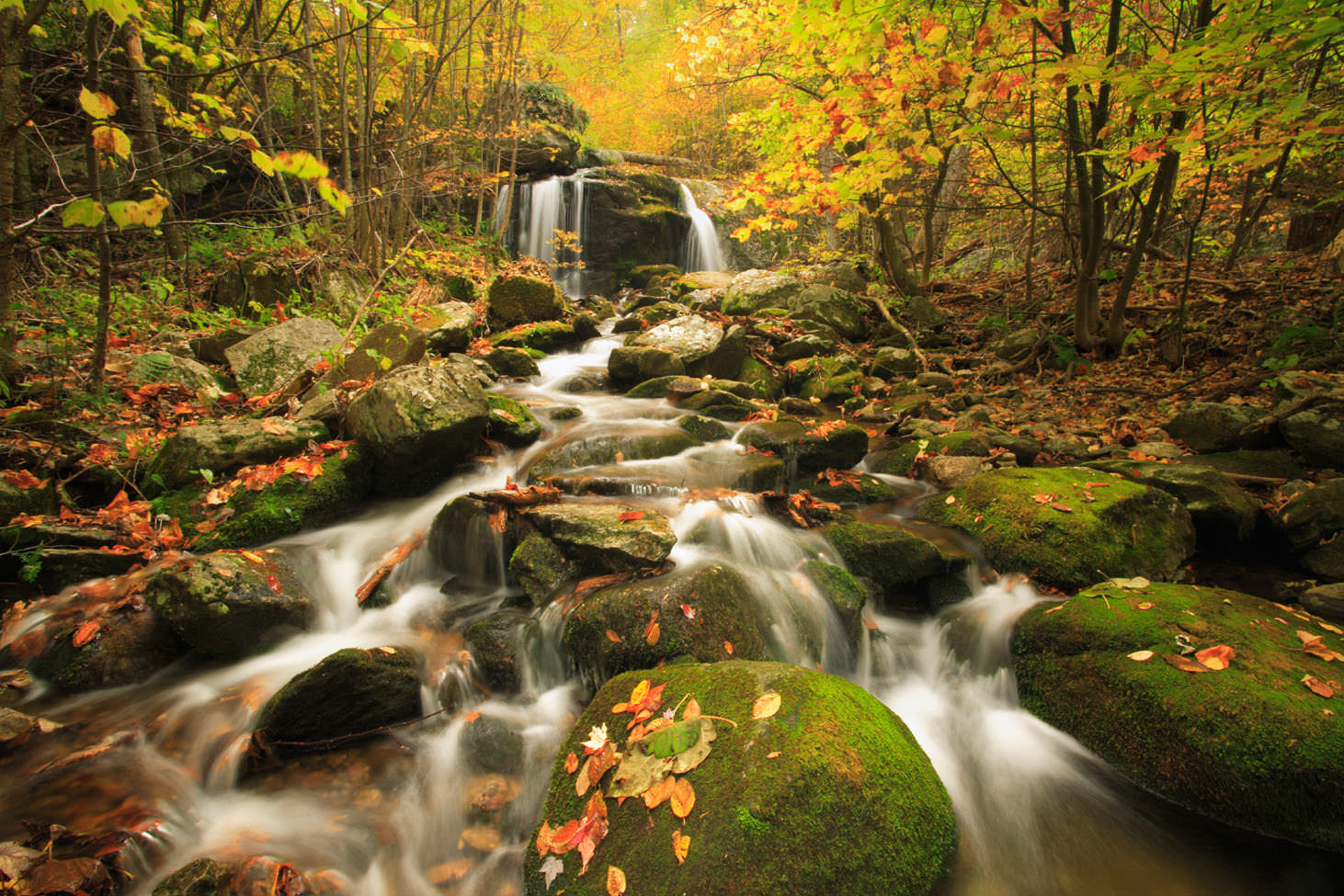 Apple Orchard Falls