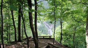 Bottom Creek Gorge