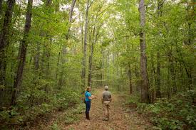 Land secured for VA’s newest state forest along Roanoke River in Charlotte County