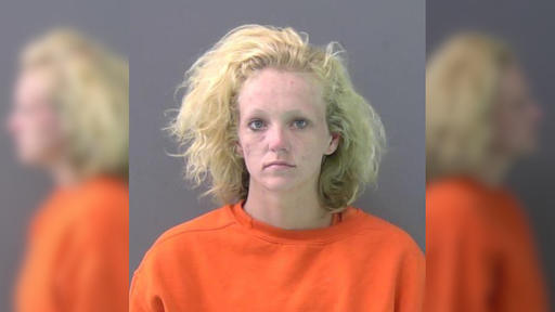 Woman charged for fatal Roanoke hit-and-run