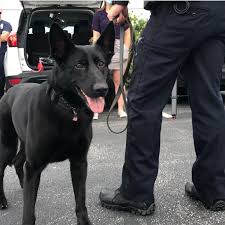 Roanoke County K9 tracks missing child