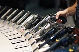 Virginia Senate rejects bill on gun rental background checks