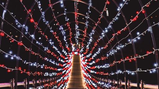 18,000 twinkling lights adorn Gatlinburg’s SkyBridge for Valentine’s Day