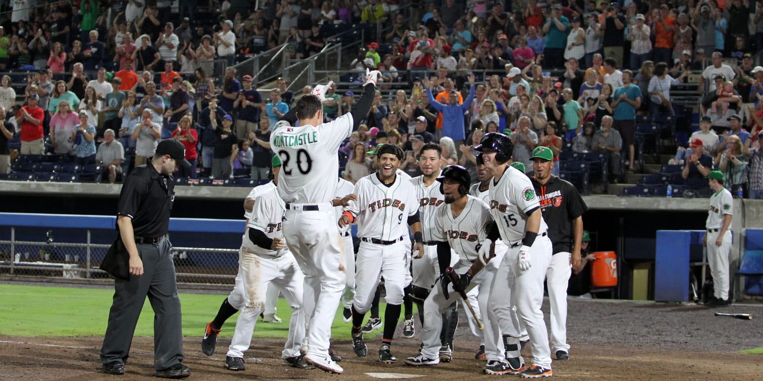 Harbor Park to host Free Catch on the Field Event