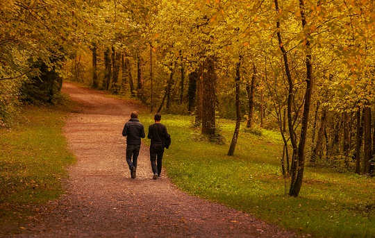 Why a walk in the woods really does help your body and your soul