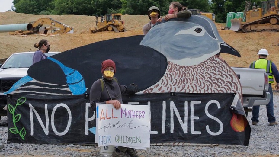 Protesters arrested after blocking Mountain Valley Pipeline entrance