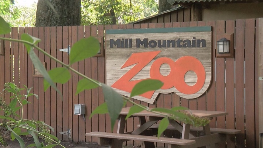 Tails in the Mail program launched by the Mill Mountain Zoo