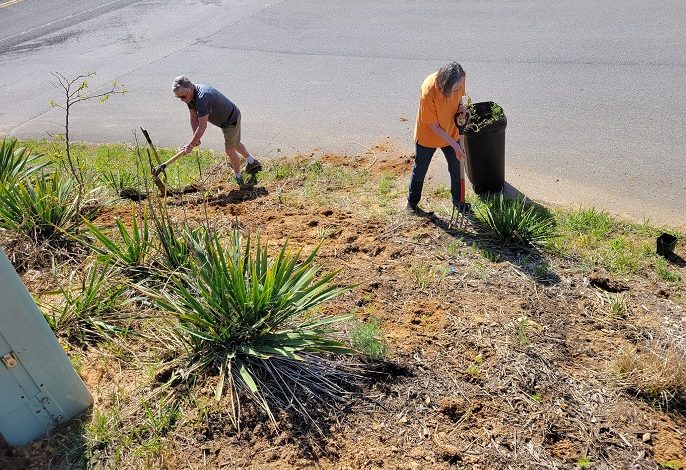 Floyd Flower Power initiative – locals in Floyd to plant thousands of flowers around town