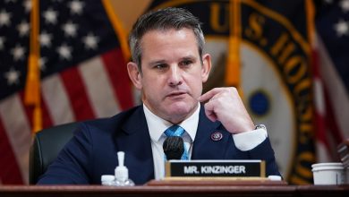 Kinzinger slams McCarthy over Hutchinson comment: ‘I don’t trust a thing’ he says