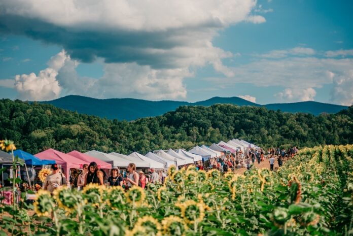  7th Annual Beaver Dam Farm Sunflower Festival to Be Held in Buchanan