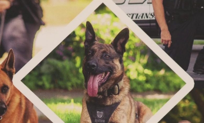 Christiansburg Police Department raises money for a good cause by selling K-9 calendars