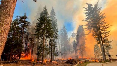 House passes 48-bill wildfire-protection package