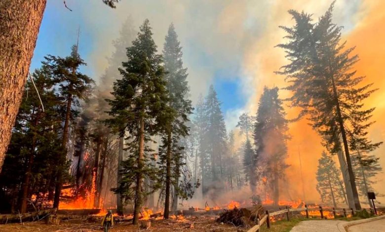 House passes 48-bill wildfire-protection package