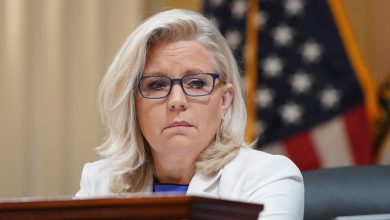 Liz Cheney slams ‘sickening’ GOP attacks on FBI agents involved with Trump search