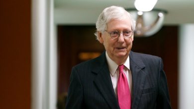 McConnell manages midterm expectations after Trump-backed candidates win