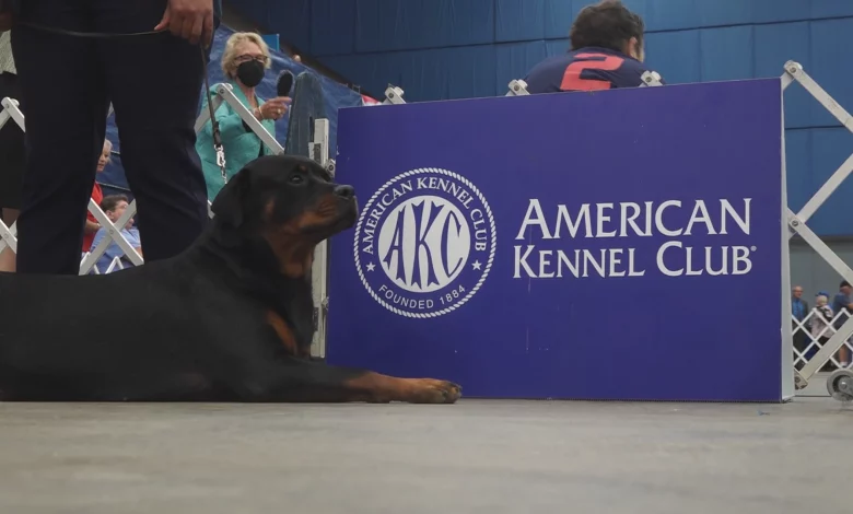 Mountain Valley Cluster Dog Show returns to Salem Civic Center