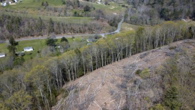 Deadline for Mountain Valley Pipeline extended by federal regulators to 2026