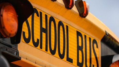 Arlington bus system will provide free transportation for children in middle and high schools