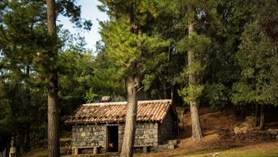 Airbnb and new owner apologize for “1830s slave cabin” listing marketed as luxurious stay