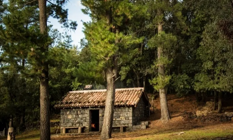 Airbnb and new owner apologize for “1830s slave cabin” listing marketed as luxurious stay