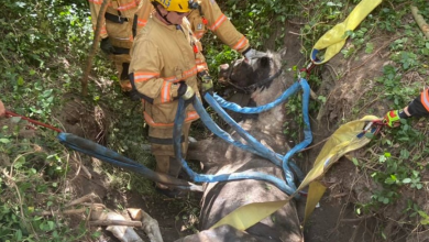 Chesapeake firefighters tackle two dramatic rescues in one week