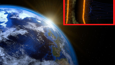 Earth to be hit by solar storm after hole opens in the Sun