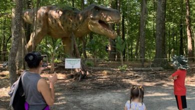 T-Rex Trail At Explore Park Goes Extinct This Weekend