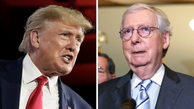 Trump refers to McConnell as a “piece of s—” during an interview