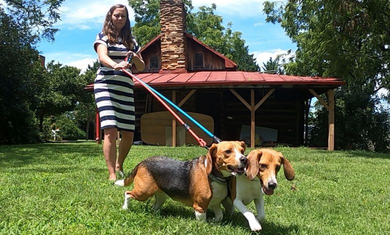 Two beagles in Franklin Co. blazed a trail for thousands more