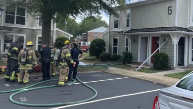 Family displaced after apartment fire kills cat and dog