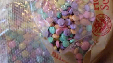 Florida officials issued a warning to parents nationwide about fake candy that contains drugs