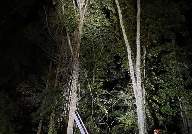 Man stuck in tree rescued by Galax Fire Department