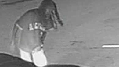 Public’s help needed in identifying a person of interest in fatal hit-and-run