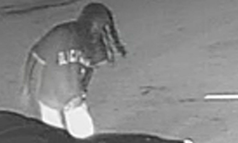 Public’s help needed in identifying a person of interest in fatal hit-and-run