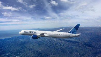 United Airlines aircraft returns to Chicago after a bird strike