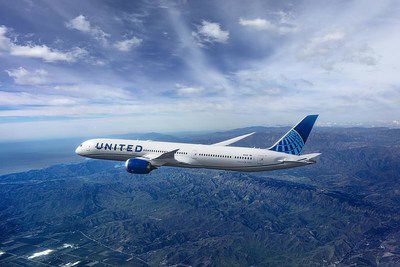 United Airlines aircraft returns to Chicago after a bird strike