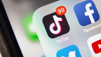 Federal Communications Commissioner says U.S. should ban TikTok