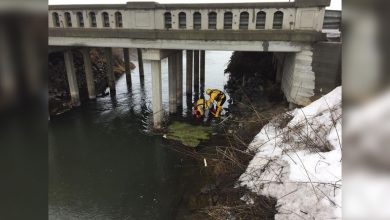 Tarrant County medical examiner says woman found under bridge was shot to death