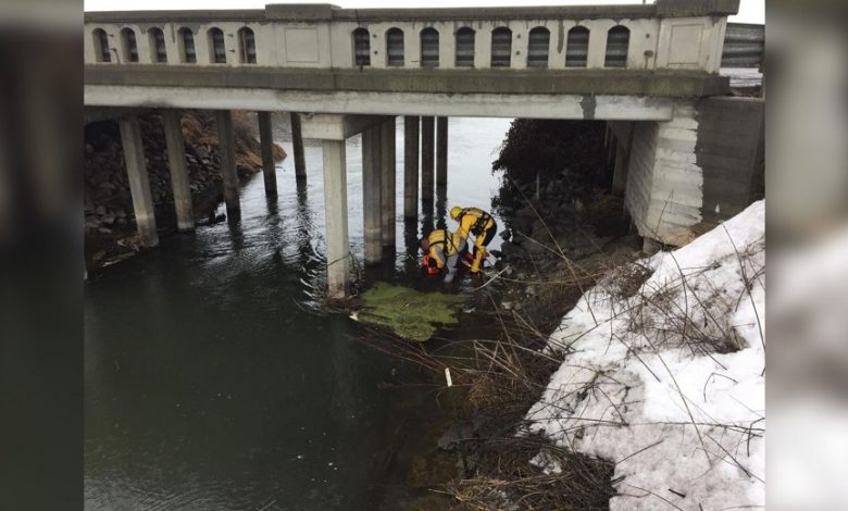 Tarrant County medical examiner says woman found under bridge was shot to death